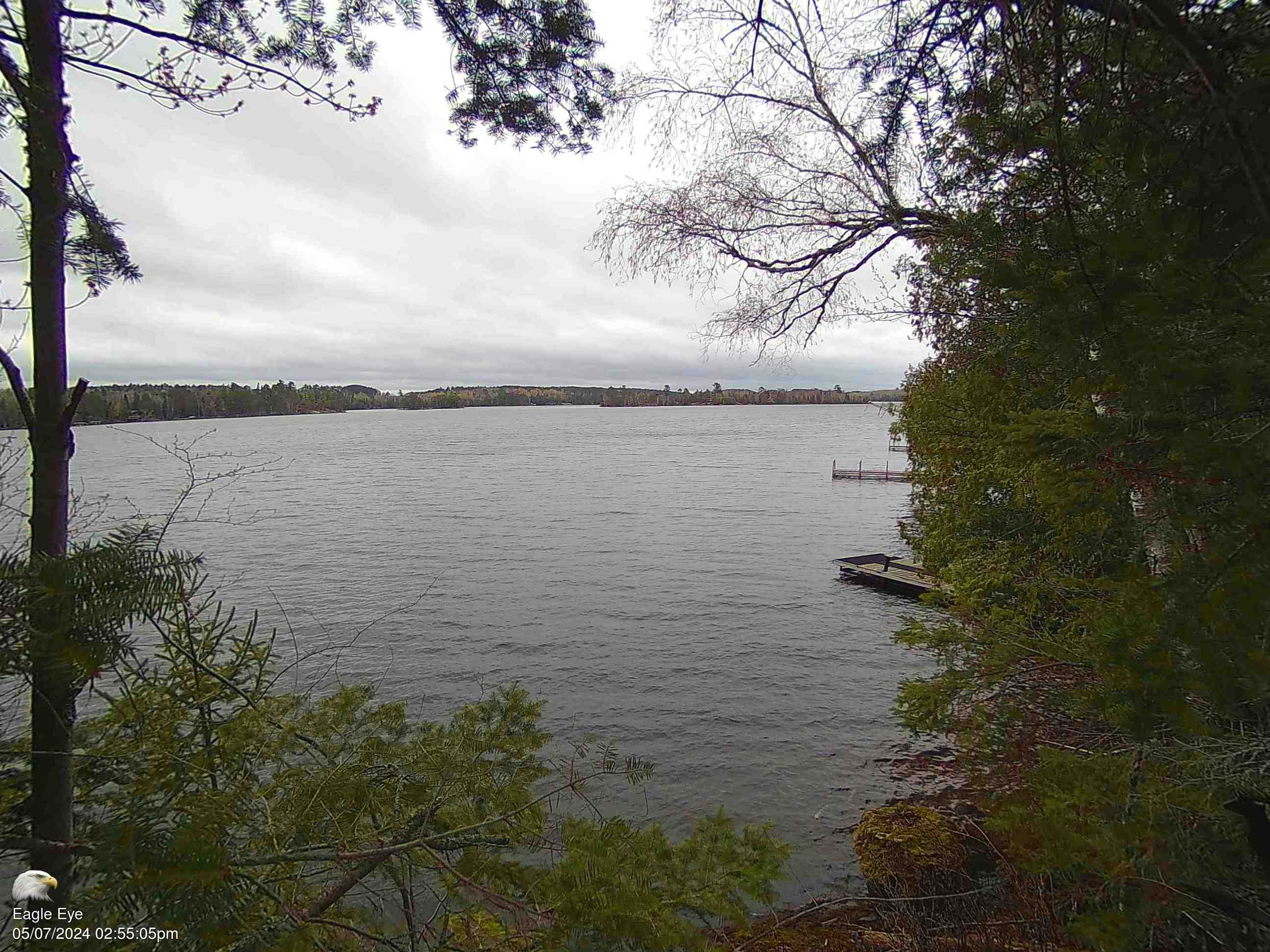 View of Lake Vermilion from near Cook Minnesota